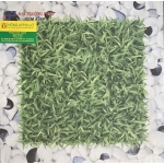 Gạch Lát Sân Vườn 40X40 Kim Phong 458K