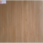 ĐÁ BÓNG KIẾNG 60X60 Á MỸ 605