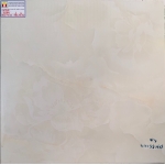 Gạch Bóng Kiếng 60x60 Hãng TTC 66004