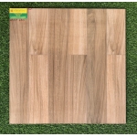 Gạch Bóng Kiếng 60x60 Toco 6529