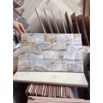 GẠCH TRANG TRÍ 25x40 (3)