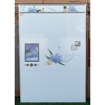 Gạch in hoa ốp tường trang trí 30x60