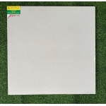 ĐÁ BÓNG KIẾNG 60X60 RRIME 1639664