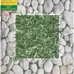 Gạch Lát Sân Vườn 40X40 Mikado 402