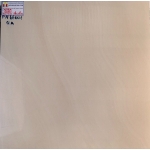 Gạch Bóng Kiếng 60x60 Hãng TTC 66001