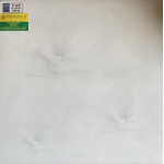 Gạch Lát Nền 50X50 Ý MỸ Y5119