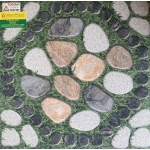 Gạch Sân Vườn 50x50 Giá rẻ 51987