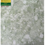 Gạch Lát Nền 40X40 Pak 4302