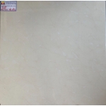 Đá Bóng Kiếng 60x60 VIGLACERA 6004