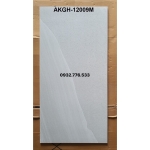 60x120 hàng nhập khẩu màu xám xanh cao cấp