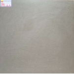 ĐÁ BÓNG KIẾNG MỜ 60X60 Ý MỸ 67013