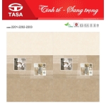 Gạch Ốp Men Bóng 30X60 Tasa Satino (7)