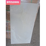 ĐÁ BÓNG KIẾNG 60X120 TRUNG QUỐC DTZ12001