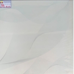 ĐÁ BÓNG KIẾNG 60X60 RRIME 12020