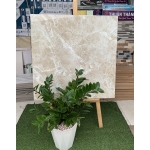 Gạch bóng kiếng 80x80 vân đá nâu