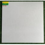 GẠCH ĐÁ MỜ 60X60 BẠCH MÃ  M6001