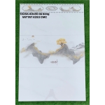 Gạch 40x80 ốp lát nhà  wc đá bóng CMC hàng VN quận 2