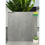 Gạch lát nền 60x60 màu xám APODIO hàng matt 