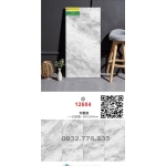 Gạch 60x120 hàng nhập khẩu bóng kiếng 12604