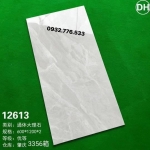 Gạch 60x120 hàng nhập khẩu giá rẻ