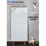 Gạch 60x120 màu trắng trơn hàng liên doanh Việt Ấn