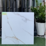 Gạch 60x60 đá bóng kiếng toàn phần