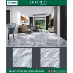Gạch 60x60 màu xám trắng siêu bóng kiếng