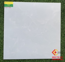 Gạch bóng kiếng 60x60 Vecta-tc 6510