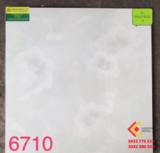 Gạch Bóng Kính 60X60 TASA 6710