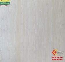 Gạch Bóng Kiếng 60x60 Bernini 9650