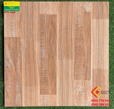 GẠCH BÓNG KIẾNG 60X60 THẮNG CƯỜNG 6918