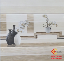 Gạch Ốp Tường 30X60 Hacera 131