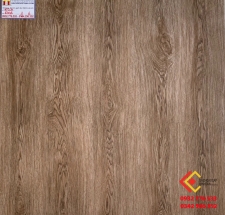 Gạch Men Bóng Kiếng 60x60 Long Hậu 6006