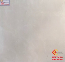 Gạch Bóng Kiếng 60x60 Hãng TTC 66009