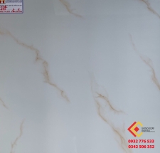 Gạch Bóng Kiếng 60x60 Hoàng Hà 695