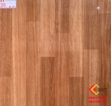 Gạch men bóng kiếng 60x60 Nano Catalan 6120