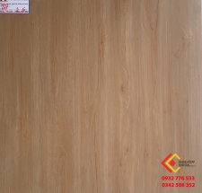 ĐÁ BÓNG KIẾNG 60X60 Á MỸ 605