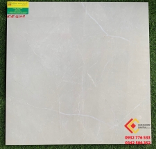 GẠCH BÓNG KÍNH 60X60 HOÀN MỸ 663018