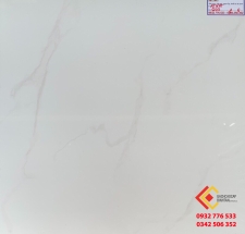 ĐÁ BÓNG KIẾNG 60X60 MIKADO (2)