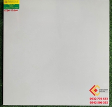 GẠCH ĐÁ MỜ 60X60 BẠCH MÃ  PL6000