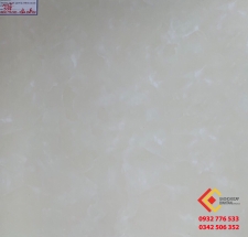 ĐÁ BÓNG KIẾNG 60X60 Á MỸ 558