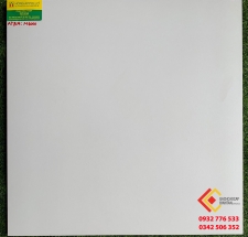 GẠCH ĐÁ MỜ 60X60 BẠCH MÃ  M6000