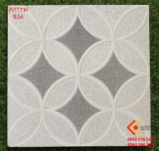 Gạch Lát Nền 30x30 Lát sàn nước và WC 831