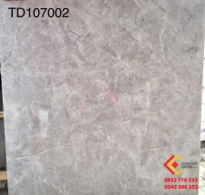 ĐÁ BÓNG KIẾNG 100X100 TRUNG QUỐC 107002