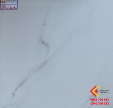 ĐÁ BÓNG KIẾNG 60X60 Á MỸ 560