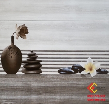 Gạch Ốp Tường 30X60 Ý MỸ 36005