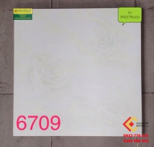 Gạch Bóng Kính 60X60 TASA 6709