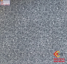 Gạch Bóng Kiếng Phủ Nano 60x60 Đônami 604