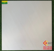 ĐÁ Mờ 80X80 TASA 8006