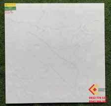 Gạch Lát Nền 80x80 Viglacera 860